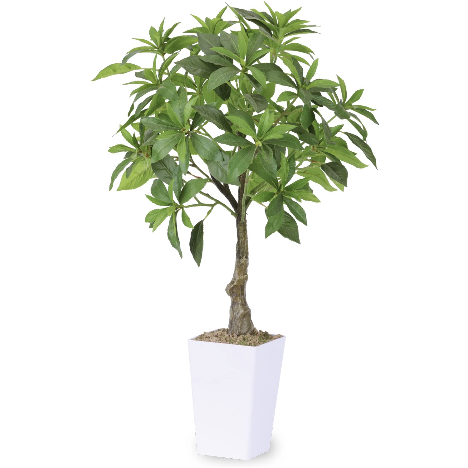 光触媒　人工観葉植物　ウォールグリーン　フェイクグリーン　フレッシュアセビ1.5 光触媒 光の楽園 インテリアフレッシュアセビ1.5m【インテリア